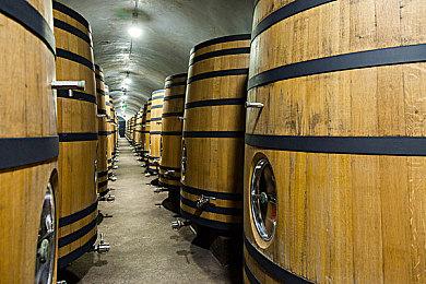 DNF世界观类魂动作RPG 《阿拉德编年史：卡赞》发布首个预告